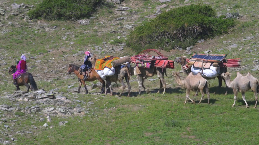 精品乱子伦一区二区三区