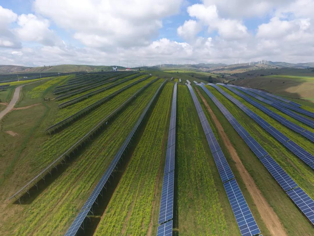 精品乱子伦一区二区三区