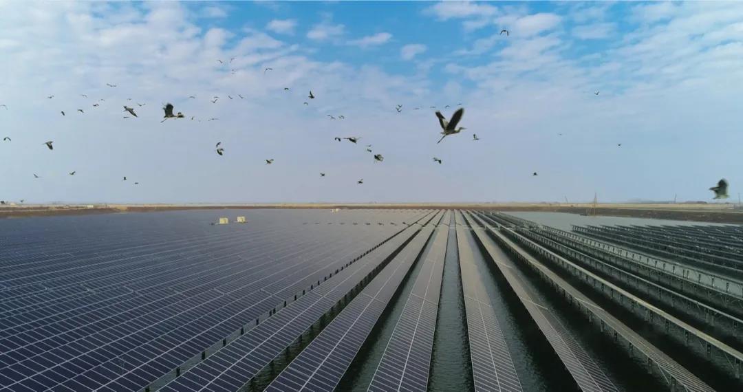 精品乱子伦一区二区三区