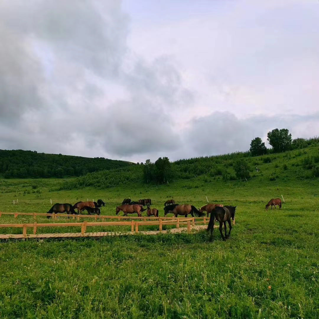 精品乱子伦一区二区三区